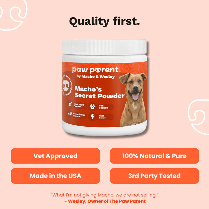 The Paw Parent - Spine & Disc Powder