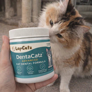 DentaCatz™ - Advanced Dental Formula