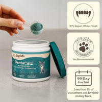 DentaCatz™ - Advanced Dental Formula