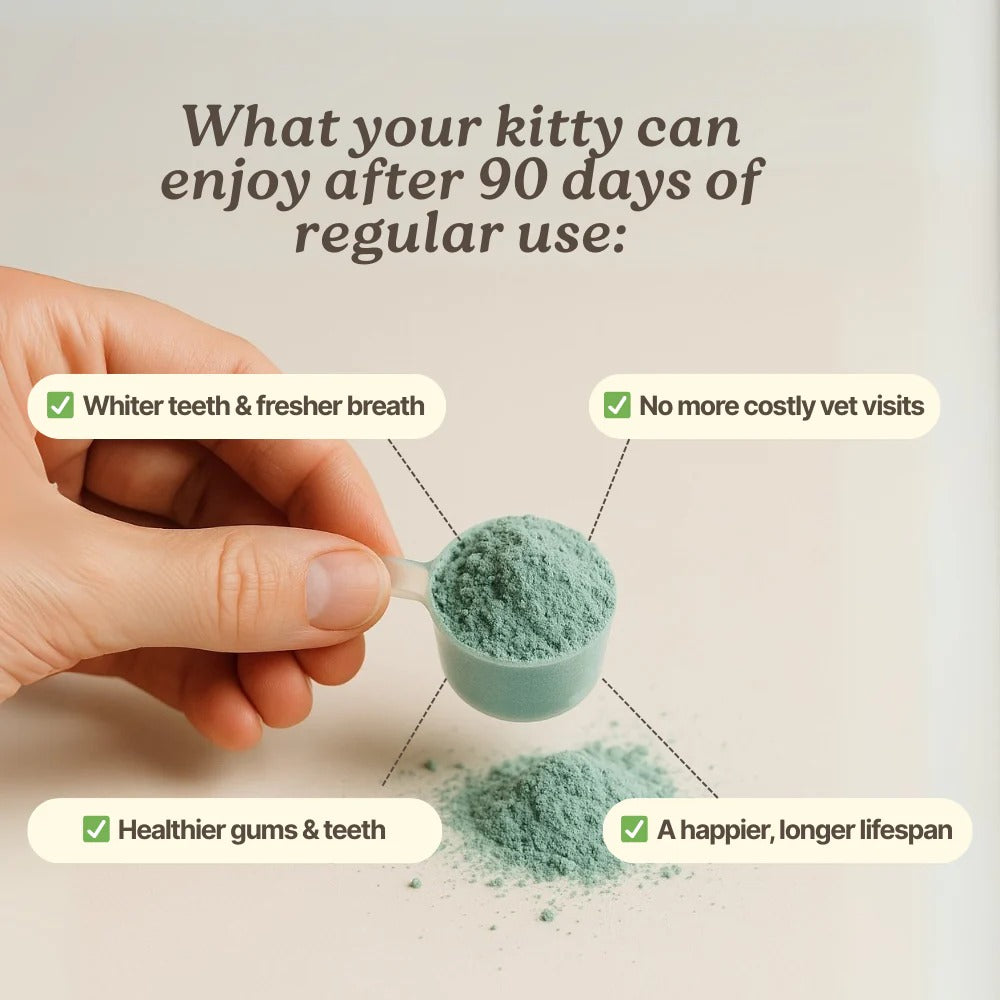 DentaCatz™ - Advanced Dental Formula